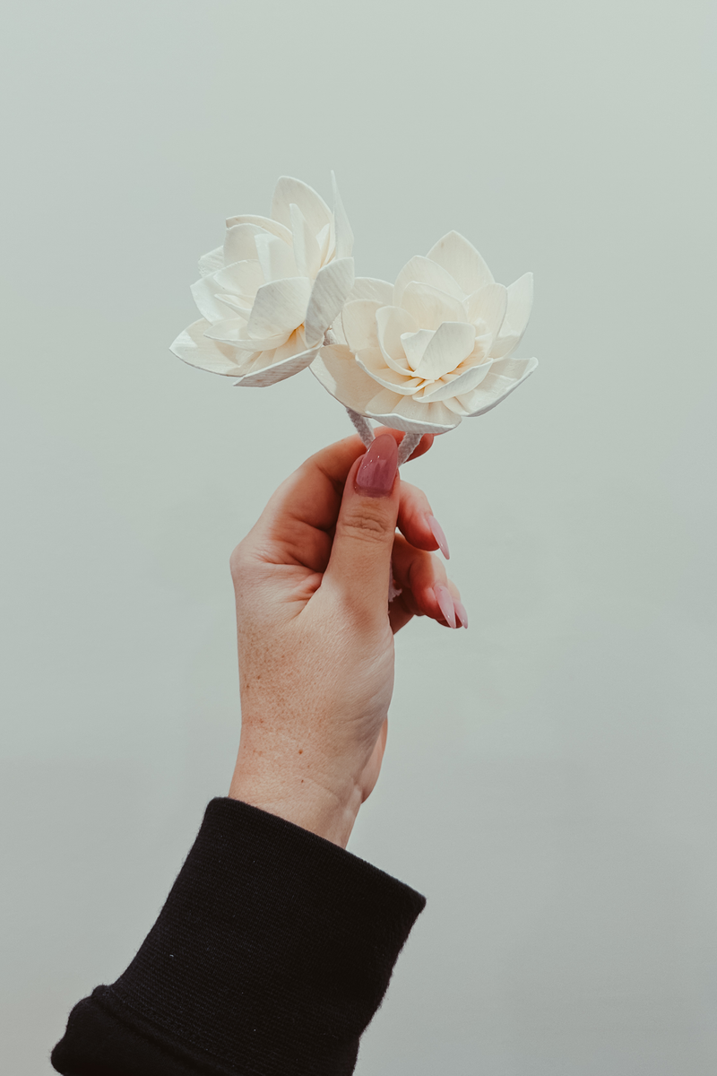 Flower Diffuser Reeds